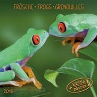 Abbildung von: Frösche 2018 - Tushita PaperArt