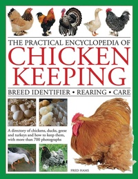 Abbildung von: Practical Encyclopedia of Chicken Keeping - Lorenz Books