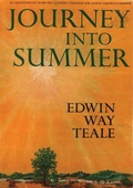 Cover: Journey Into Summer - Hauraki Publishing