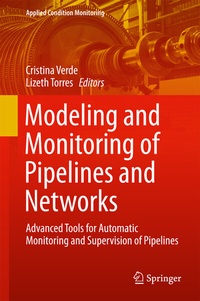 Enlarge image Cover: Modeling and Monitoring of Pipelines and Networks - Springer