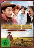 Cover: Rauchende Colts - Paramount Home Entertainment