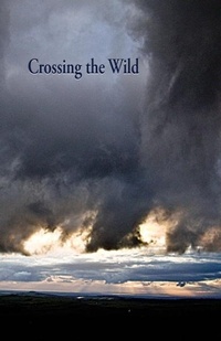 Enlarge image Cover: Crossing the Wild - The Book Mill