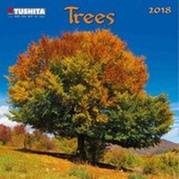 Enlarge image Cover: Trees Mini 2018 - Tushita PaperArt GmbH