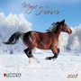 Cover: Magic Horses Mini 2018 - Tushita PaperArt GmbH