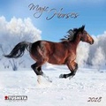 Cover: Magic Horses Mini 2018 - Tushita PaperArt GmbH