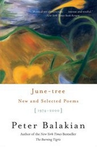 Enlarge image Cover: June-tree - HarperCollins
