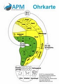 Abbildung von: Ohrkarte - APM-Akademie