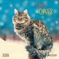 Cover: Cool Cats 2018 - Tushita PaperArt GmbH