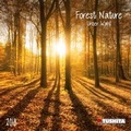 Cover: Forest Nature Mini 2018 - Tushita PaperArt GmbH