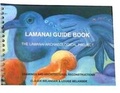 Cover: Lamanai Guide Book - Lamanai Art