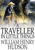 Cover: Traveller in Little Things - The Floating Press