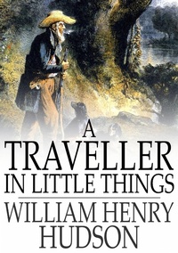 Enlarge image Cover: Traveller in Little Things - The Floating Press