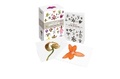 Cover: A Box of Orchids - Ivy Press