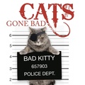 Cover: Cats Gone Bad - Amber Books