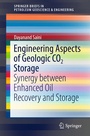 Cover: Engineering Aspects of Geologic CO2 Storage - Springer