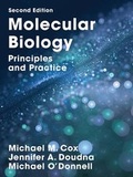 Cover: Molecular Biology plus LaunchPad - W.H.Freeman & Co Ltd
