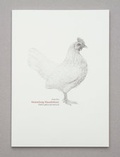 Cover: Sammlung Haush&uuml;hner (Gallus gallus domesticus) - TEXTEM VERLAG