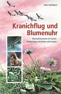 Abbildung von: Kranichflug und Blumenuhr - pala