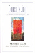 Cover: Consolation - Jewish Publication Society