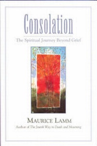 Enlarge image Cover: Consolation - Jewish Publication Society