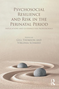 Abbildung von: Psychosocial Resilience and Risk in the Perinatal Period - Routledge