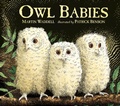 Cover: Owl Babies - Walker Books Ltd