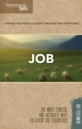 Cover: Shepherd's Notes: Job - LifeWay Christian Resources