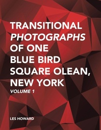 Enlarge image Cover: Transitional Photographs of One Blue Bird Square Olean, New York - Trafford Publishing