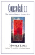Cover: Consolation - Jewish Publication Society