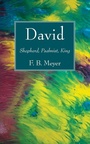 Cover: David - Wipf & Stock Publishers
