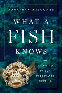 Abbildung von: What a Fish Knows - Scientific American / Farrar, Straus and Giroux