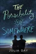 Cover: The Possibility of Somewhere - St. Martin's Griffin