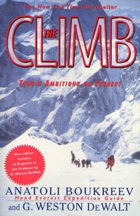 Enlarge image Cover: The Climb - St. Martin's Griffin