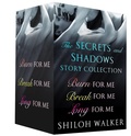 Cover: The Secrets and Shadows Story Collection - St. Martin's Press