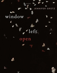 Enlarge image Cover: Window Left Open - Graywolf Press