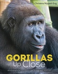 Cover: Gorillas Up Close - Henry Holt and Co.