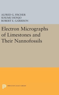 Enlarge image Cover: Electron Micrographs of Limestones and Their Nannofossils - Princeton University Press