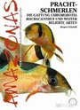 Cover: Prachtschmerlen - Natur und Tier