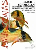 Cover: Prachtschmerlen - Natur und Tier