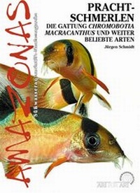 Enlarge image Cover: Prachtschmerlen - Natur und Tier
