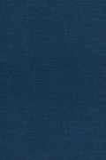 Cover: The Mortal Presidency - Fordham University Press