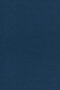 Enlarge image Cover: The Mortal Presidency - Fordham University Press