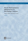 Cover: Private Participation in Infrastructure in Developing Countries - World Bank Publications