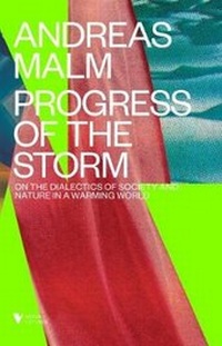 Enlarge image Cover: The Progress of This Storm - Verso Books