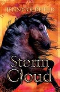 Enlarge image Cover: Storm Cloud - Barrington Stoke Ltd