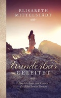 Cover: Wunderbar geleitet - Gerth Medien