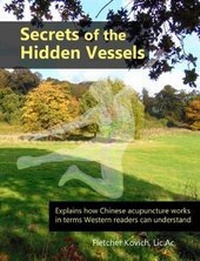 Abbildung von: Secrets of the Hidden Vessels - CuriousPages Publishing