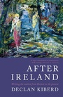 Cover: After Ireland - Head of Zeus