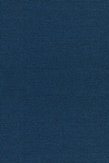 Cover: The Global Emerging Market in Transition - Fordham University Press