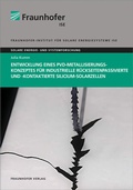 Cover: Entwicklung eines PVD-Metallisierungskonzeptes f&uuml;r industrielle r&uuml;ckseitenpassivierte und -kontaktierte Silicium-Solarzellen - Fraunhofer Verlag